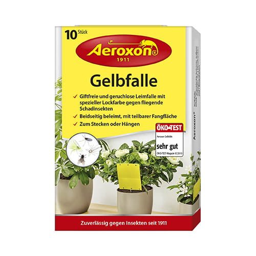 Aeroxon līmlente pret telpaugu kaitēkļiem, 10 gab.