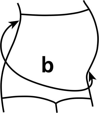 9806 piktogramma Medicīniskā elastīgā balstoša josta grūtniecēm GERDA, ar kokvilnu, universāla, bēša krāsa