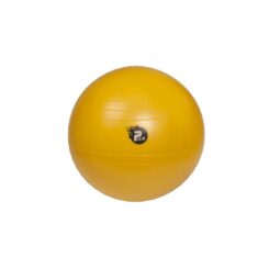 Rehabilitācijas Bumba ABS + Pumpis