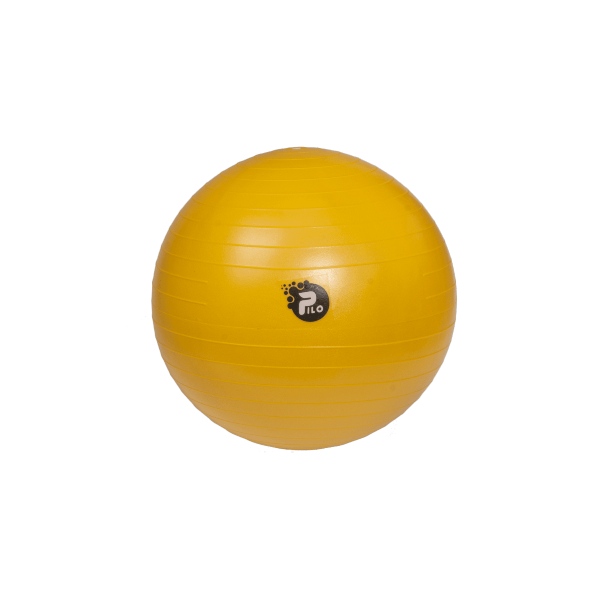 Rehabilitācijas Bumba ABS + Pumpis