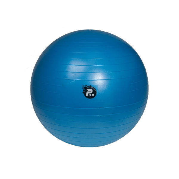 Rehabilitācijas Bumba ABS + Pumpis